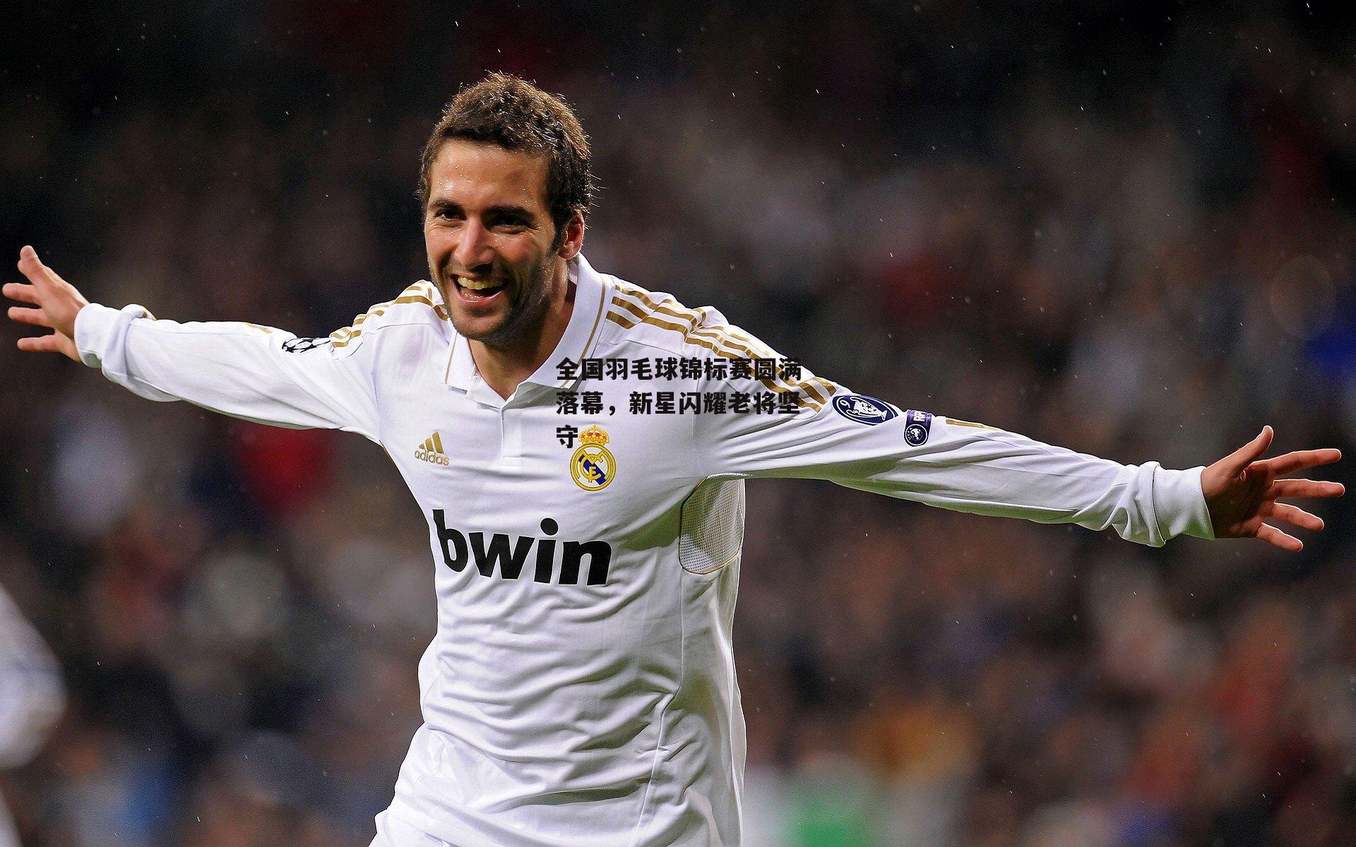 全国羽毛球锦标赛圆满落幕，新星闪耀老将坚守